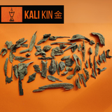 Kali Kin 金