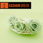 Kashani Green