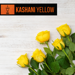 Kashani Yellow